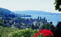 Arenenberg-Blick auf Mannenbach2